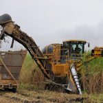 Sugar Plant manufacturers India Delhi